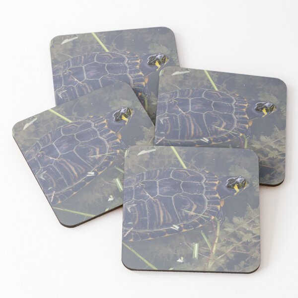 Item preview, Yellow Bellied Slider designed and sold by LaurenTucker.
