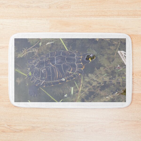 Item preview, Yellow Bellied Slider designed and sold by LaurenTucker.