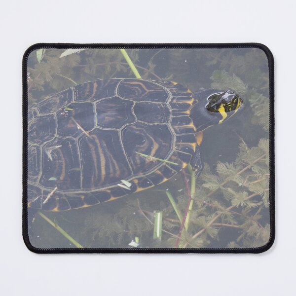 Item preview, Yellow Bellied Slider designed and sold by LaurenTucker.