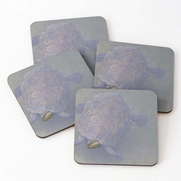 Item preview, Western Pond Turtle designed and sold by LaurenTucker.