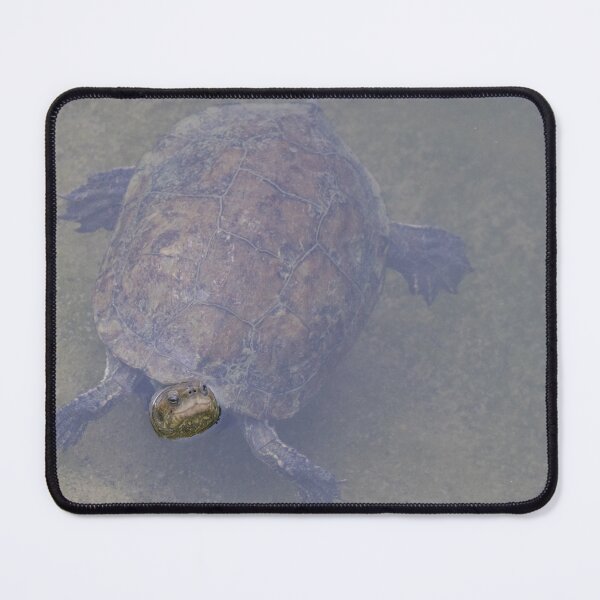 Item preview, Western Pond Turtle designed and sold by LaurenTucker.