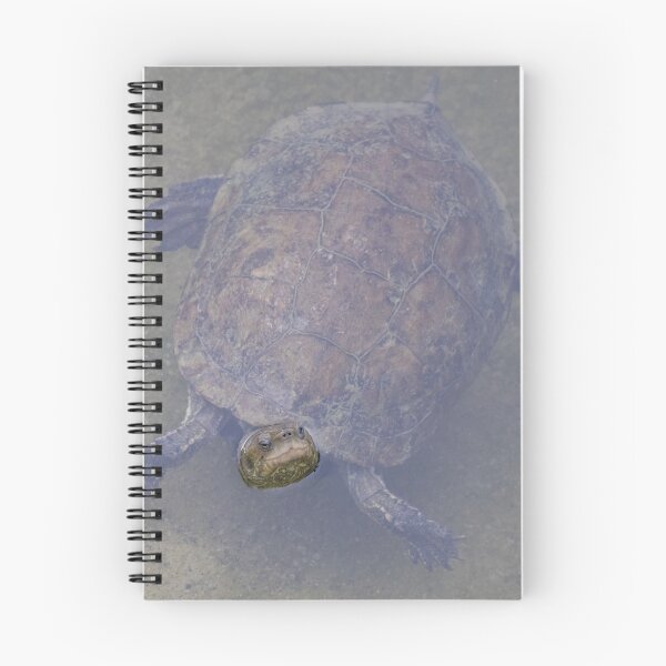 Item preview, Western Pond Turtle designed and sold by LaurenTucker.