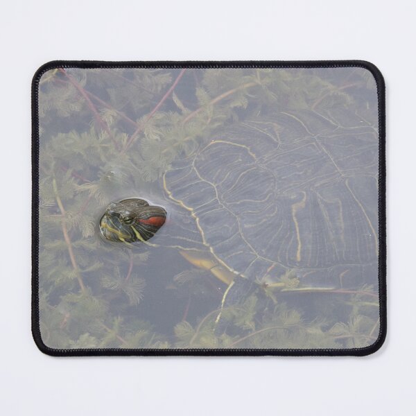 Item preview, Yellow Bellied Slider designed and sold by LaurenTucker.