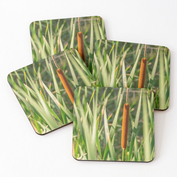 Item preview, solitary cattail designed and sold by Darrell Kroulik.