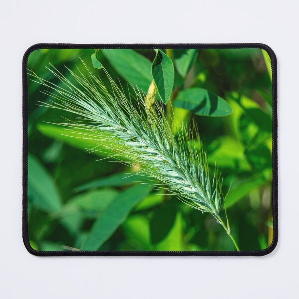Item preview, Thriving greenery designed and sold by Darrell Kroulik.