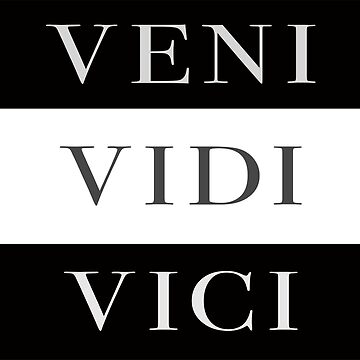 Veni Vidi Vici 'We Came We Saw We Conquered' Latin Saying Roman  Quote Inspirational White Poster for Sale by bard-art