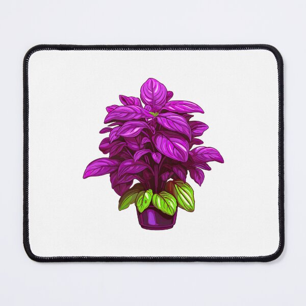 Item preview, Basil Plant designed and sold by ImageTcraft.