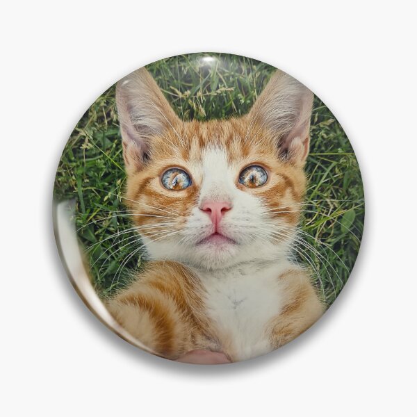 Item preview, petting an orange tomcat designed and sold by psychoshadow.