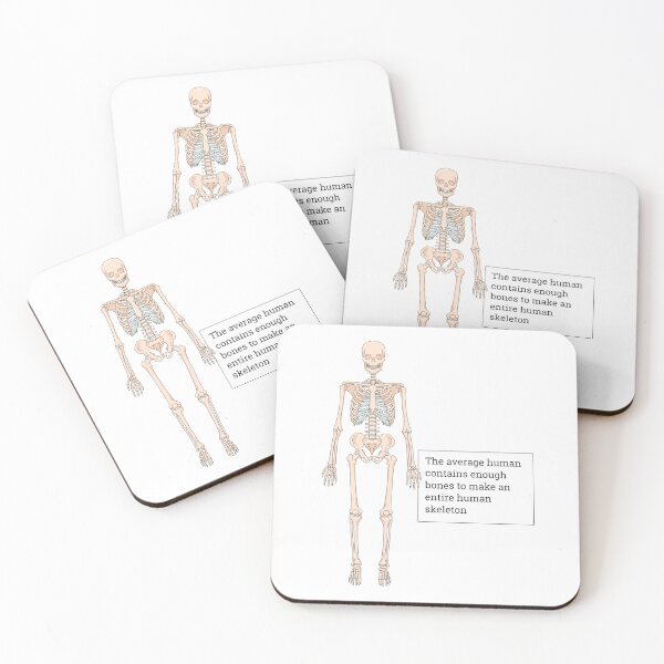 Item preview, Enough bones to make an skeleton designed and sold by Witty-Biotech.