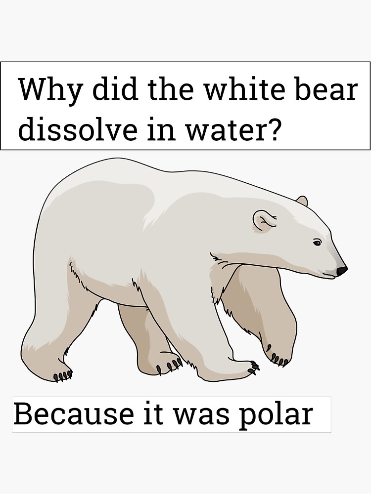 Polar Bear Funny Science Bear Pun Classic Round Sticker