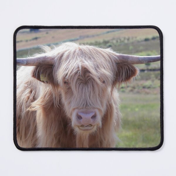 Item preview, Scotland's gentle giant designed and sold by Leighton Collins.