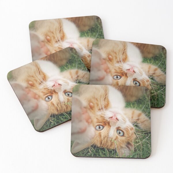 Item preview, kitten lying upside down designed and sold by psychoshadow.