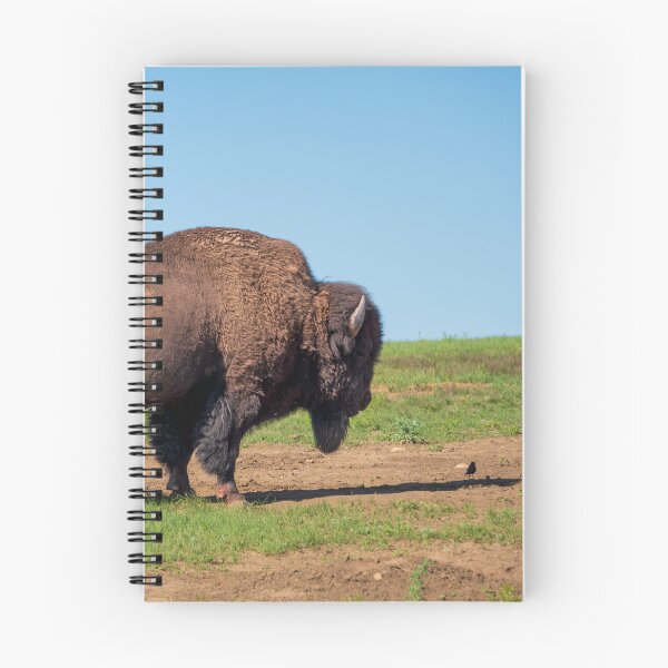 Item preview, Buffalo And Friends | Wind Cave National Park designed and sold by TinyDinoDesigns.