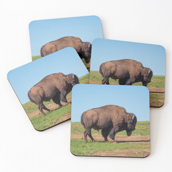 Item preview, Buffalo And Friends | Wind Cave National Park designed and sold by TinyDinoDesigns.