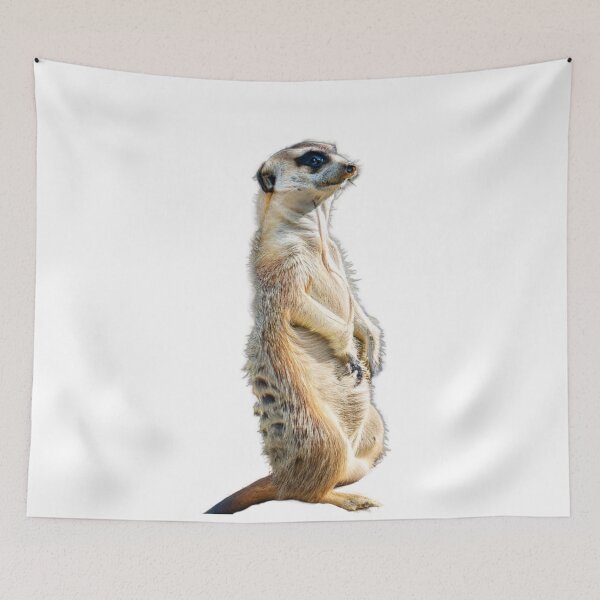Item preview, The meerkat listens designed and sold by Jurke-333.