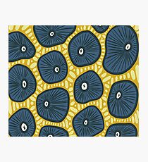 Amoeba Photographic Print