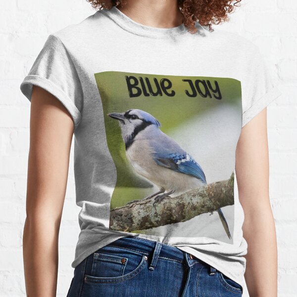 Watchful Blue Jay Graphic T-Shirt (Black, Small)