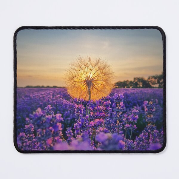 Item preview, blowball in sunset light designed and sold by psychoshadow.