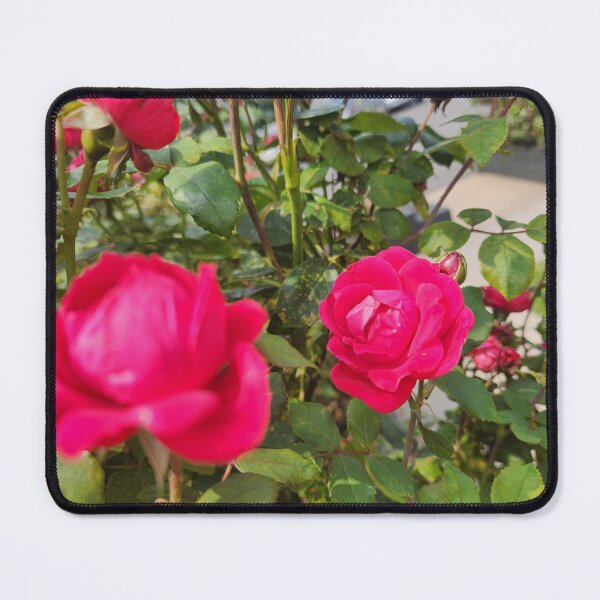 Item preview, Rose bush  designed and sold by Revocat13.