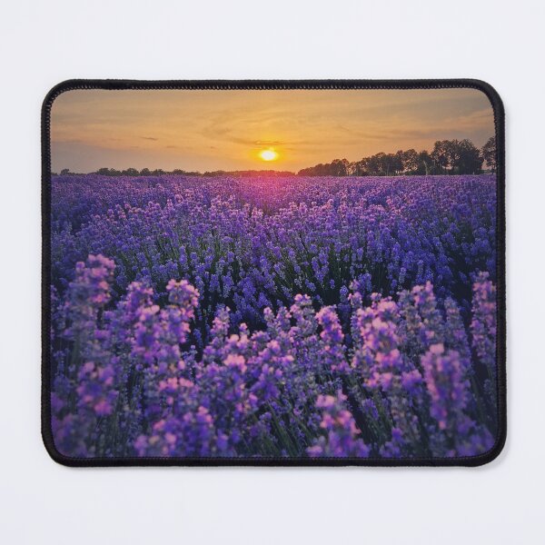 Item preview, Picturesque scene of blooming lavender field designed and sold by psychoshadow.