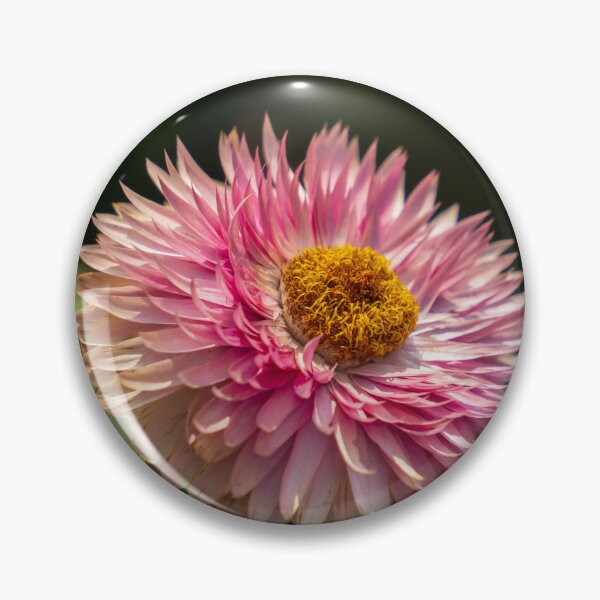 Item preview, Pink Strawflower designed and sold by TinyDinoDesigns.