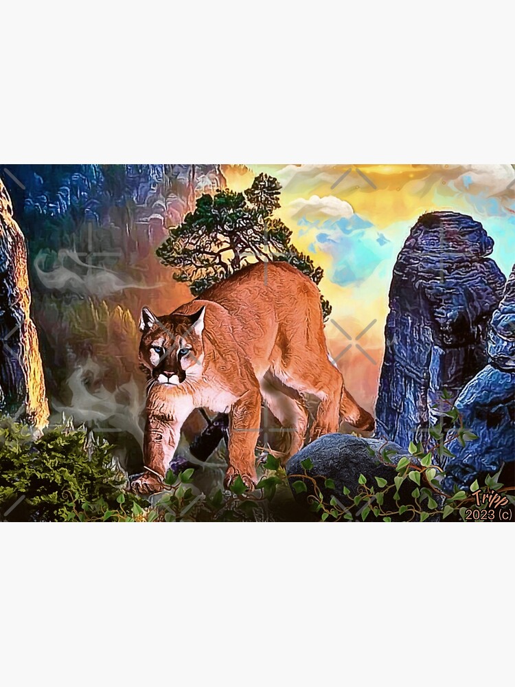 The King of the Mountain (Cougar)