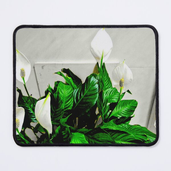 Item preview, Harth Plants designed and sold by ontological.
