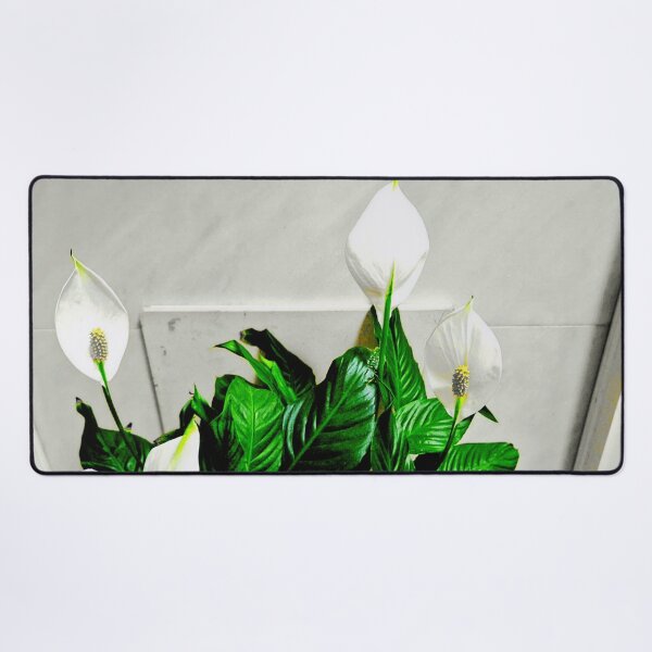 Item preview, Harth Plants designed and sold by ontological.