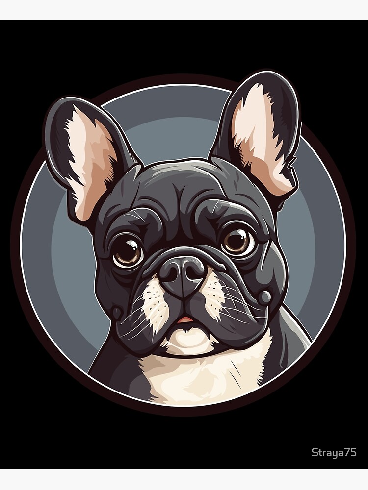 French bulldog