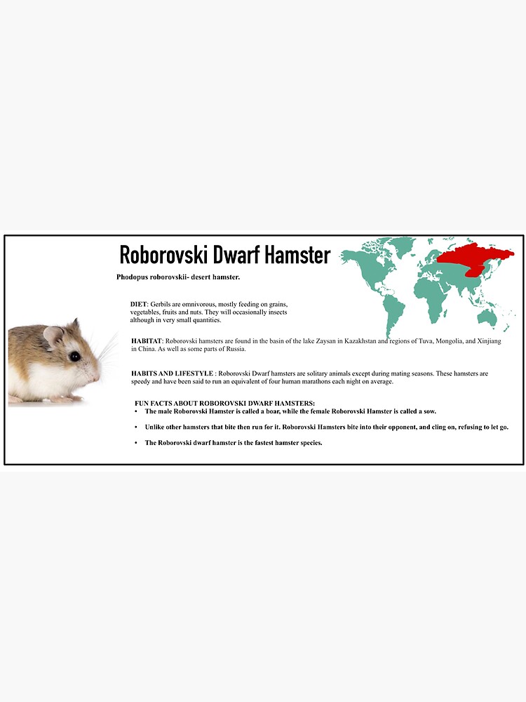 Dwarf Hamster Facts. Amazing Facts About Dwarf Hamsters