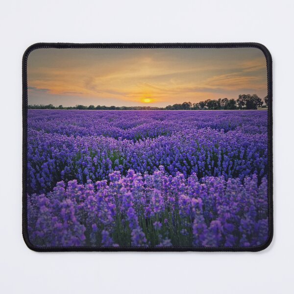 Item preview, Idyllic lavender field designed and sold by psychoshadow.