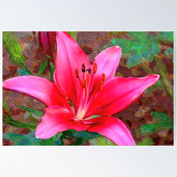 Item preview, Burgundy Day Lily Closeup designed and sold by BostonArcImage.