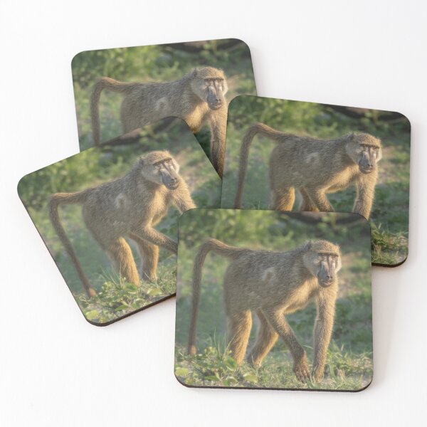 Item preview, Baboon Botswana Africa 2 designed and sold by PhotoArt by Joan Carroll.