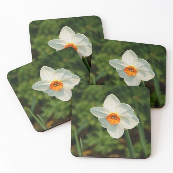 Item preview, White Daffodil with Orange Center designed and sold by Vivar Photo.