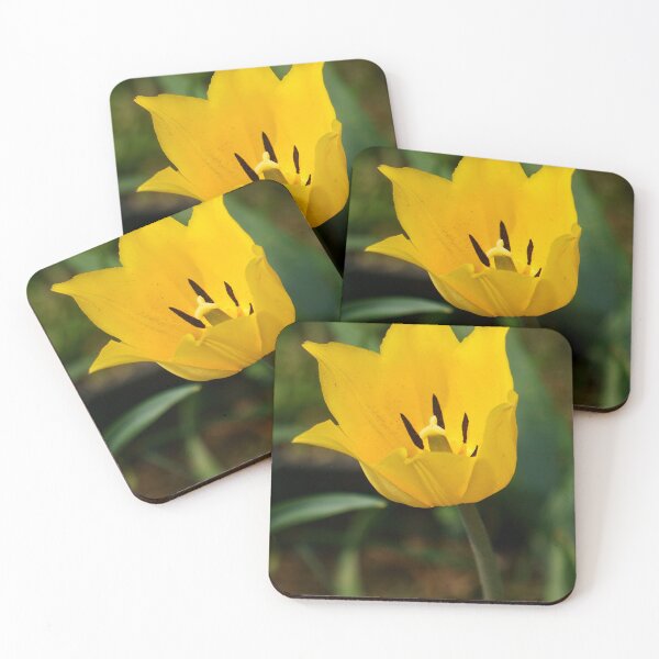 Item preview, Golden Tulip with Spikey Petals, Vertical  designed and sold by Vivar Photo.