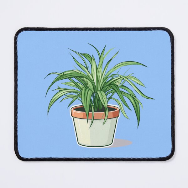Item preview, Spider Plant  designed and sold by TTlab.