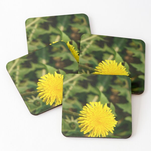 Item preview, Glorious Dandelion designed and sold by Vivar Photo.