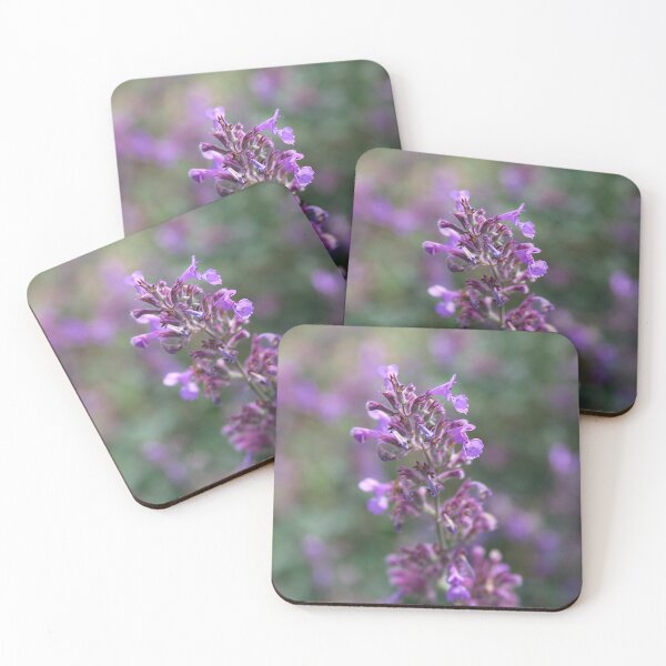 Item preview, Purple Catmint designed and sold by EA-Fisher.