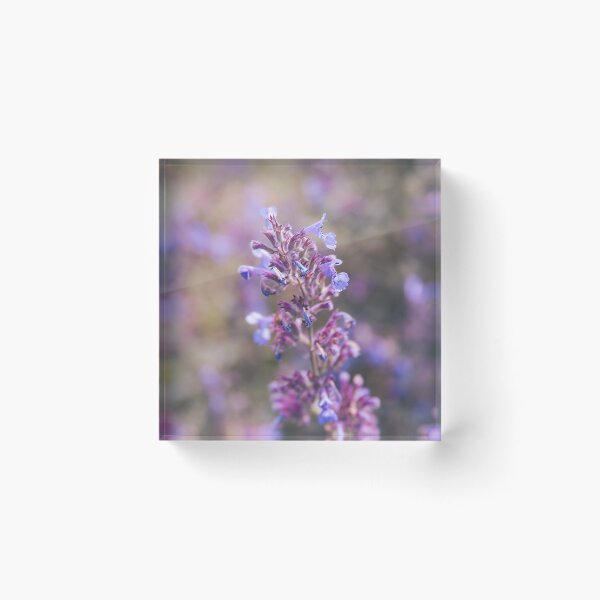 Item preview, Purple Catmint - Lighter designed and sold by EA-Fisher.