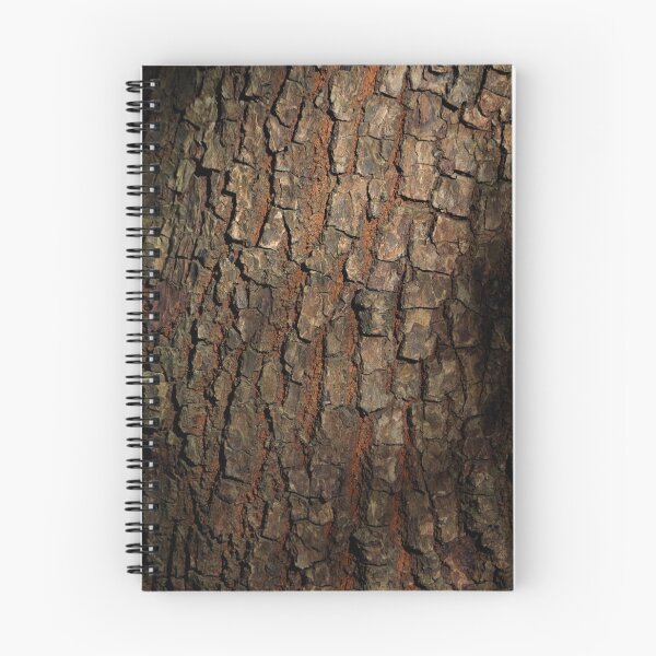 Item preview, Up Close Tree Bark and Sun designed and sold by couragesings.