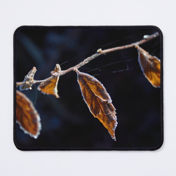 Item preview, Backlit Frosty Brown Leaves designed and sold by couragesings.