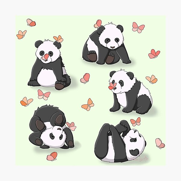 Panda and Butterfly Party (Green background) Photographic Print