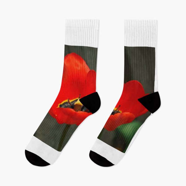 Item preview, Tulip Twins in Brilliant Red designed and sold by Vivar Photo.