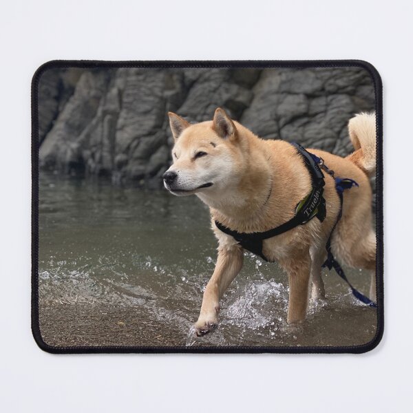 Item preview, Best Paw Forward designed and sold by Shinzan2019.