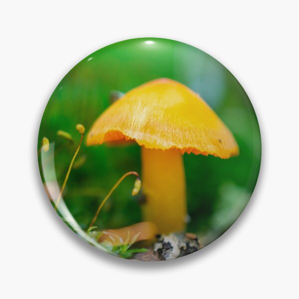 Item preview, mycelium designed and sold by klmiller.