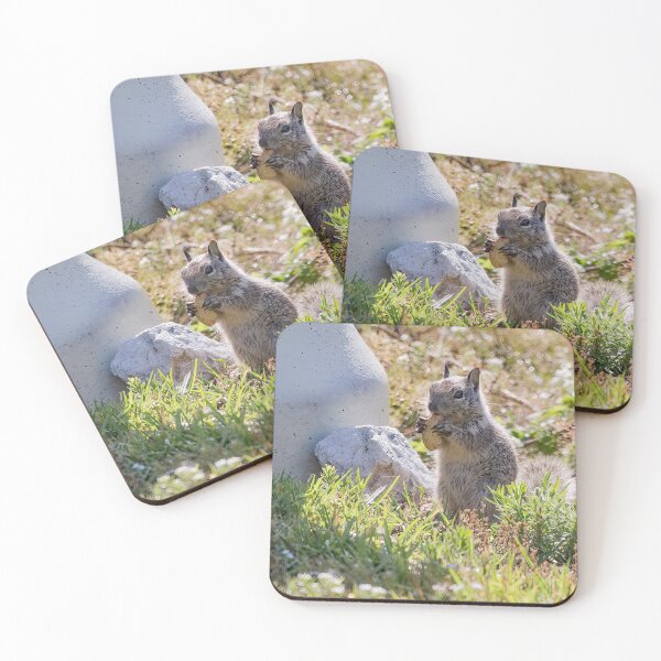 Item preview, I'm Just a Little Guy Having a Nut. designed and sold by CarolM.