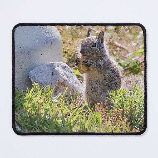 Item preview, I'm Just a Little Guy Having a Nut. designed and sold by CarolM.