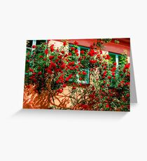Roses Roses Lovely Flowers Greeting Card