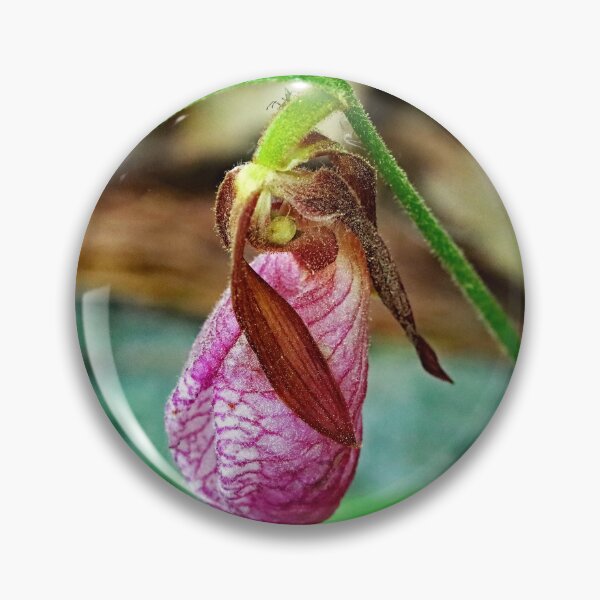 Item preview, Fading Lady Slipper designed and sold by Deb Oppermann.