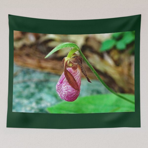 Item preview, Fading Lady Slipper designed and sold by Deb Oppermann.